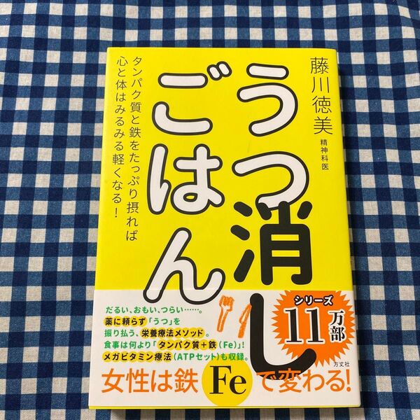 うつ消しごはん タンパク質と鉄をたっぷり摂れば心と体はみるみる軽くなる! 藤川徳美/著