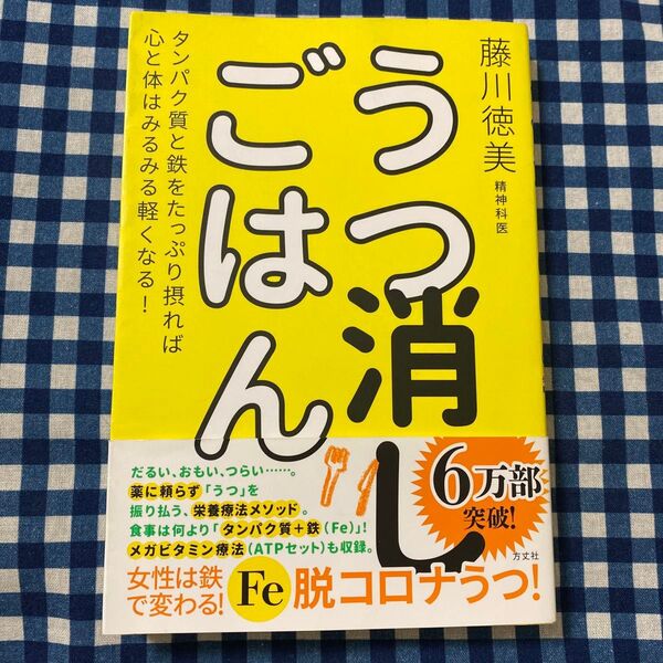 うつ消しごはん タンパク質と鉄をたっぷり摂れば心と体はみるみる軽くなる! 藤川徳美/著