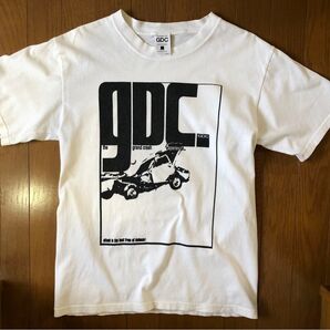 90年代 初期 GDC Tシャツ グランドキャニオン 熊谷隆志 降谷建志 kj