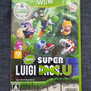 new super luigi U ニュースーパールイージU