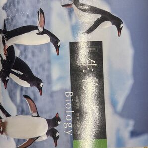 高等学校 生物基礎 Biology 啓林館