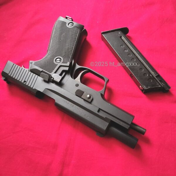 タナカワークス SIG P220 9mm拳銃 陸上自衛隊 HW ガスブローバック