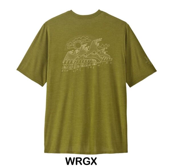Mサイズ 新品 未使用 WRGX Patagonia キャプリーン クールデイリー グラフィックシャツ ラッシュガード 速乾 防臭