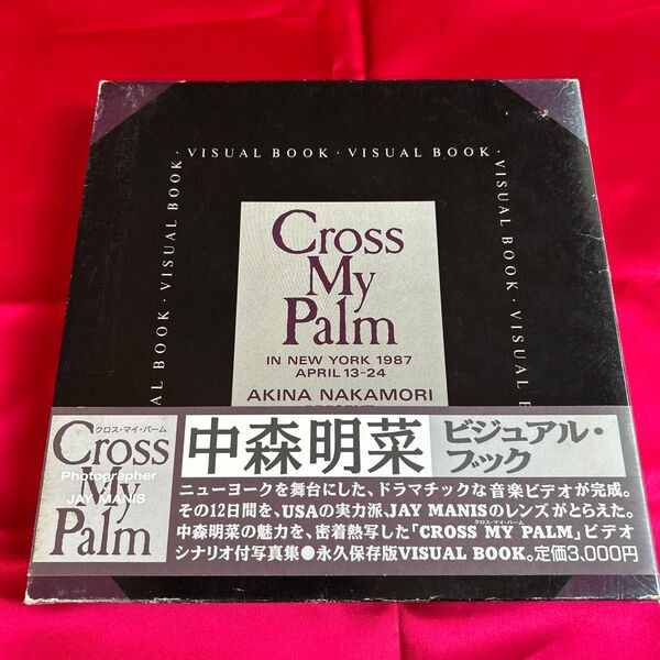 中森明菜 Cross My Palm ビジュアルブック 年代物 レトロ コレクション