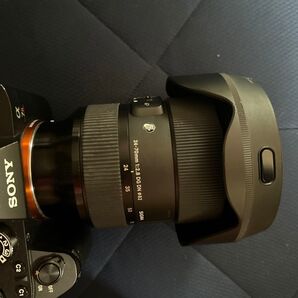 SIGMA 24-70 F2.8 dg dn art φ82 SONY E マウント