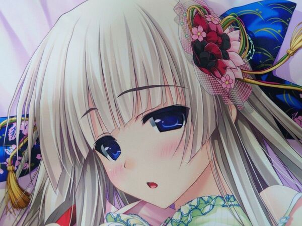 中古 正規品 アイナ・アシュウィン 抱き枕カバー プリズム◇リコレクション! しんたろー クロシェット