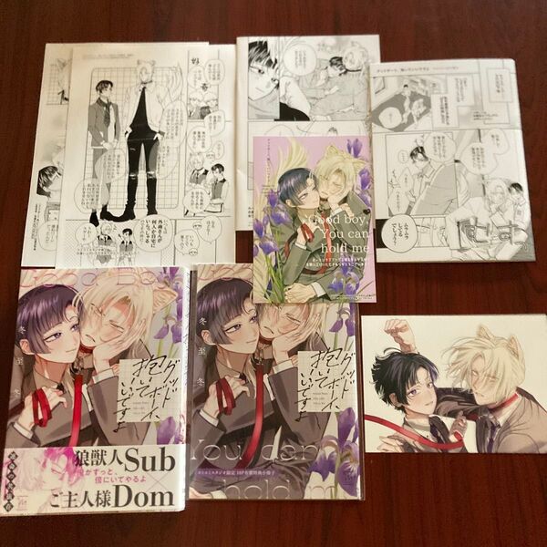 『グッドボーイ、抱いていいですよ』 冬至冬(8種特典+★おまけ付き 初版本 ネコポス送料込み
