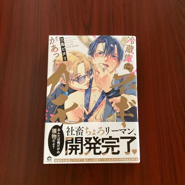 『冷蔵庫にネギがあったカモ』三島ピタリ 初版本 ゆうポストmini送料込み