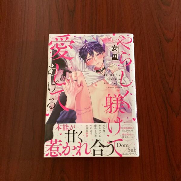 『やらしく躾けて愛してあげる』 安里 初版本 ゆうポストmini送料込み