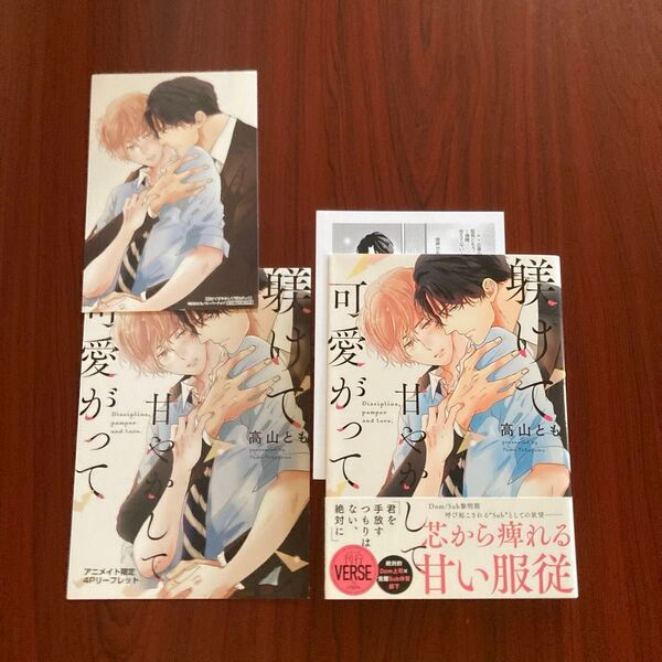 『躾けて甘やかして可愛がって』高山とも 5種特典+★おまけ付き 初版本 ネコポス送料込み 相場価格機能使用