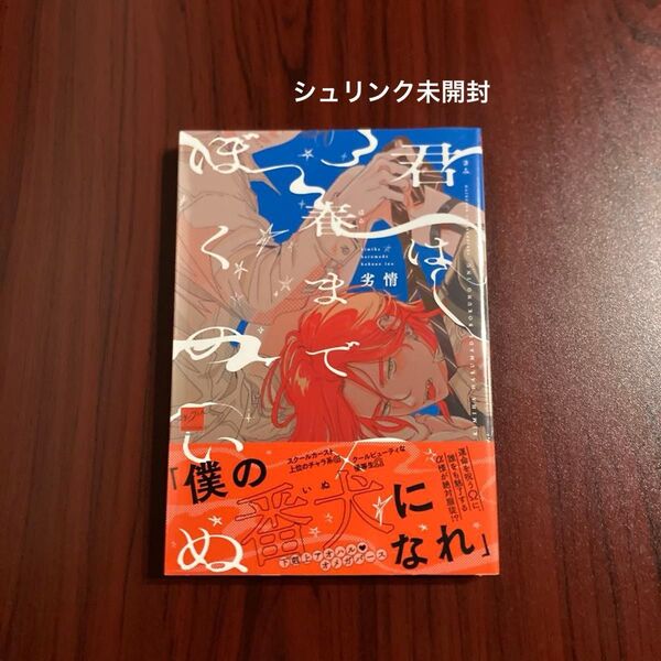 『春まで君はぼくのいぬ』劣情 シュリンク未開封 初版本 ゆうポストmini送料込み