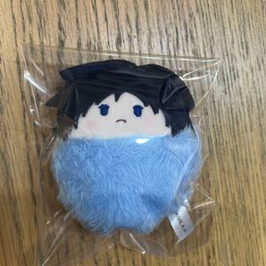 美品 鬼滅の刃 冨岡義勇 くるみたぴぬい ぬいぐるみ マスコット キーホルダー たぴぬい