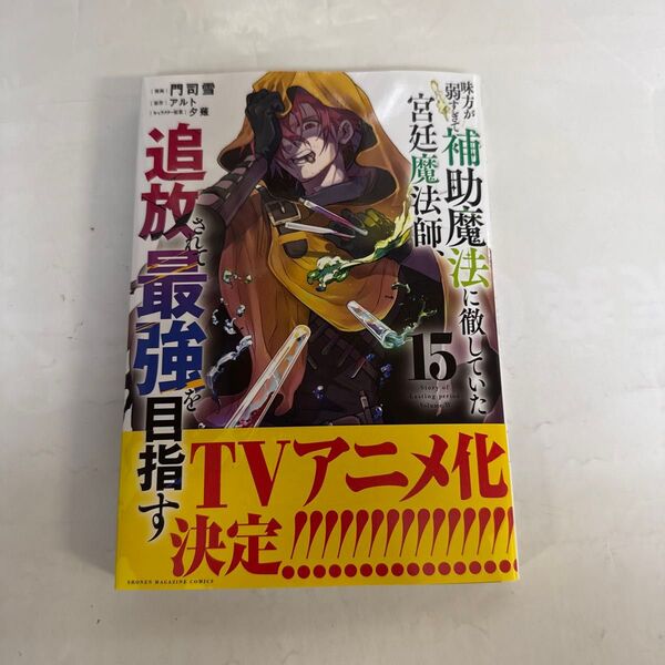 味方が弱すぎて補助魔法に徹していた宮廷魔法師、追放されて最強を目指す 15巻
