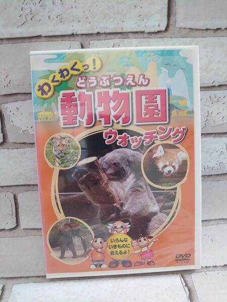新品未開封 DVD わくわくっ!動物園 ウォッチング キリン ライオン ゴリラ etc