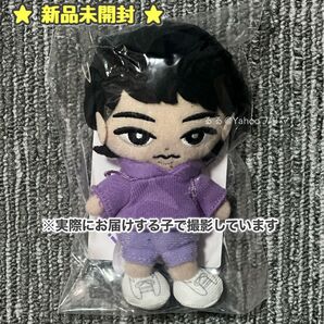 新品未開封 すのチルぶら下がりシリーズ 深澤辰哉 すのちる すのチル ちるぬい チルぬい Snow Man 未使用