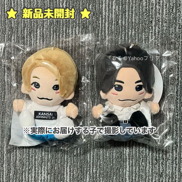 新品 未使用 正門良規 はぴぬい ちびぬい ぬいぐるみ Aぇ! group