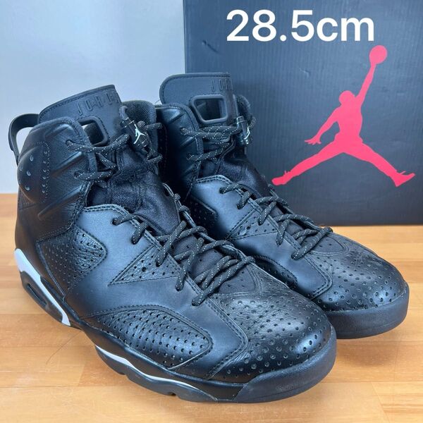 NIKE エアジョーダン6 "ブラックキャット" 28.5cm 箱付き