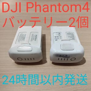 DJI Phanyom4 純正バッテリー 2個セット Advanced Pro V2.0 対応 24時間以内発送