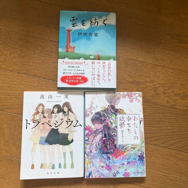 小説 わたしの幸せな結婚 他2冊