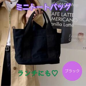 【訳あり】キャンバス ミニトートバッグ 黒 仕切りバッグ シンプル 小さめ ミニバッグ