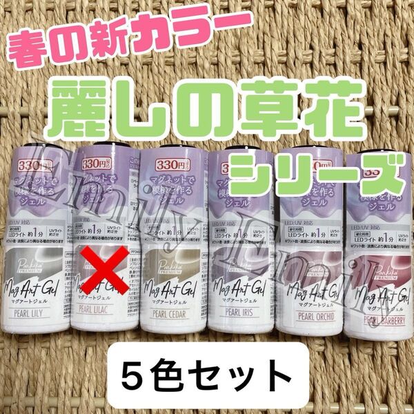 キャンドゥ 春 マグネット 草花 パール マグアート ジェル ネイル pearl セリア cando パルキコイ 5本
