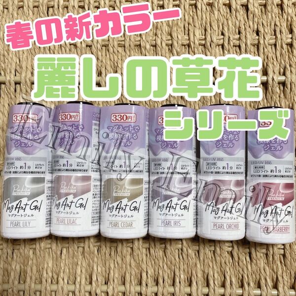 キャンドゥ 春 マグネット 草花 パール マグアート ジェル ネイル pearl セリア cando パルキコイ 6本