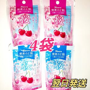 ★カンロ★ 健康のど飴 31種のいたわり素材 桜ソーダ味 4袋セット