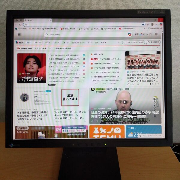 EIZO FlexScan L551 17インチ液晶モニター