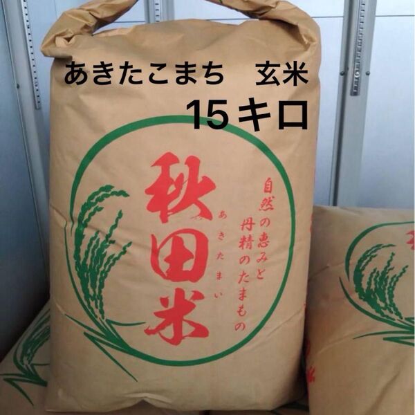 あきたこまち 玄米 15キロ 令和6年度産