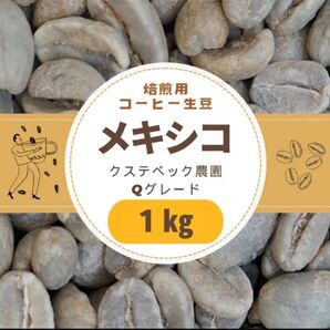 焙煎用 コーヒー生豆 メキシコ クステペック農園 1kg