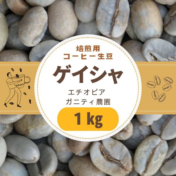 自家焙煎用 コーヒー生豆 ゲイシャ エチオピア ガニティ農園 1kg