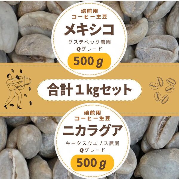 コーヒー生豆 メキシコ ニカラグア 2産地セット 500g x 2 合計 1kg