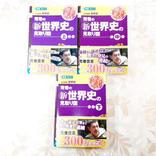 荒巻の新世界史の見取り図 大学受験世界史 下 (東進ブックス 名人の授業) 荒巻豊志/著