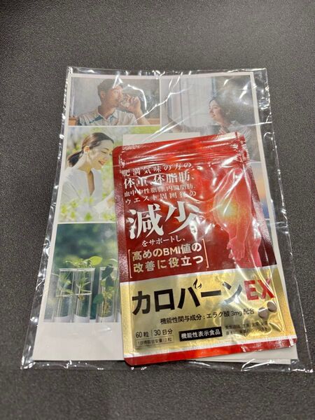 【新品 未開封】カロパーンEX 60粒 30日分