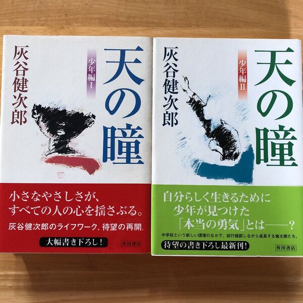 絶版・希少 天の瞳 少年編 1・2 灰谷健次郎 2冊セット 単行本 帯付き