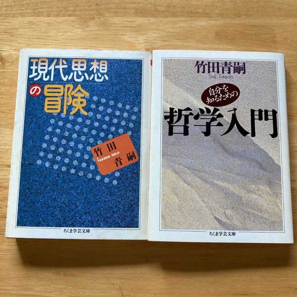 現代思想の冒険/自分を知るための哲学入門 二冊セット 竹田青嗣