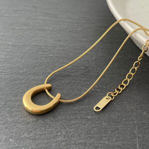 馬蹄ネックレス スネークチェーン ゴールド*ステンレスネックレス*サージカルステンレス*金属アレルギー対応*ホースシューネックレス