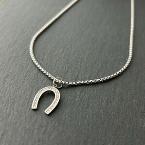 ハナ様専用ページ*クリスタル 馬蹄ネックレス ラウンドベネチアンチェーン*ホースシューネックレス*サージカルステンレス