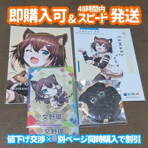 にじさんじ 文野環 FOCUS ON ブロマイド L判 にじさんじチップス カード 缶バッジ