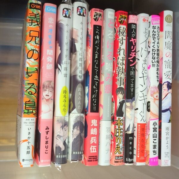 BLコミック/中古/まとめ売り/バラ売り可