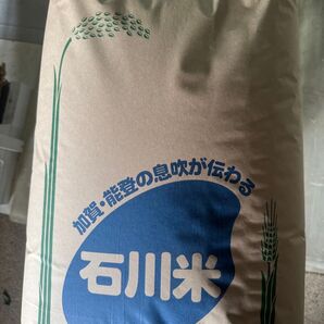 令和6年石川県産コシヒカリ 30kg 玄米