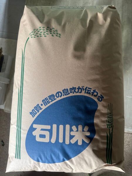 令和6年石川県産コシヒカリ 30kg 玄米