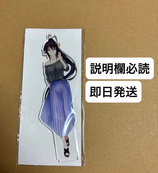 本日削除 くじ引き堂 ハイスクールD×D 朱乃がいっパイくじ B賞 B-2 アクリルスタンド 私服