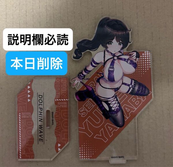 本日削除 DMMスクラッチ ドルフィンウェーブ C賞 アクリルパネルスタンド C-19 山葉 由芽