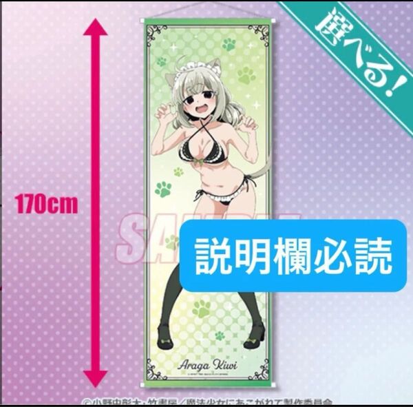 くじ引き堂 「魔法少女にあこがれて」みんなでにゃんにゃん♪ オンラインくじ S賞(S-1):選べる!特大タペストリー 阿良河キウィ