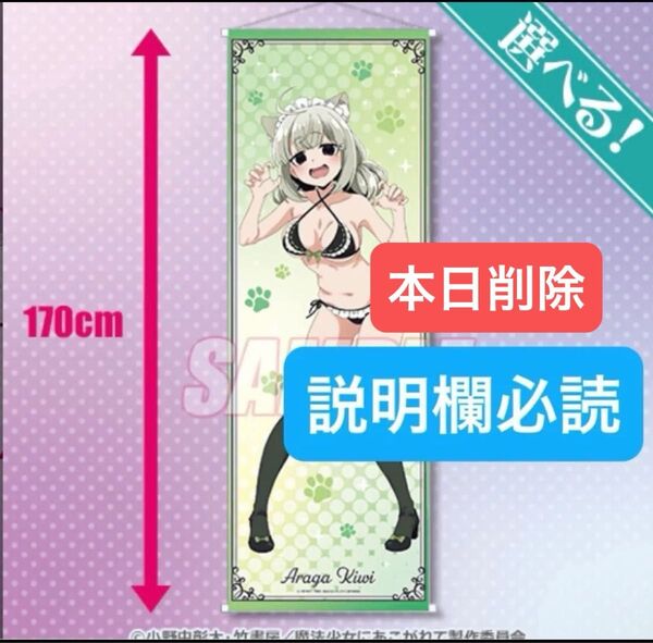 くじ引き堂 「魔法少女にあこがれて」みんなでにゃんにゃん♪ オンラインくじ S賞(S-1):選べる!特大タペストリー 阿良河キウィ