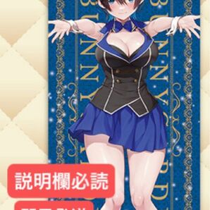 くじメイト バニーガーデン A賞 A-3 ロングタペストリー 美羽香