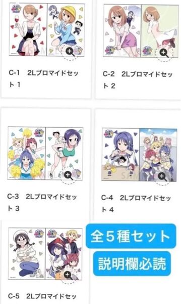 本日削除 ゲマくじ あつまれ!ふしぎ研究部 ゲマくじ C賞 2Lブロマイドセット 5種セット