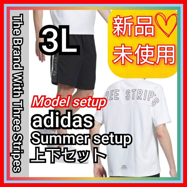 モデルセットアップ【3L】アディダス ワーディング ルーズフィット Tシャツ & ショーツ 新品未使用品 タグ付き 上下セット