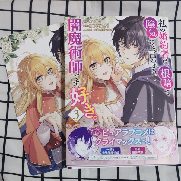 私の婚約者は、根暗で陰気だと言われる闇魔術師です。好き。 3巻 ビジュアルボード付き